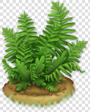 Image Lush Hay Day   Cartoon Fern  HD Png Download