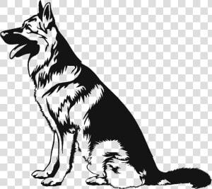 German Shepherd Vector   German Shepherd Sitting Drawing  HD Png Download