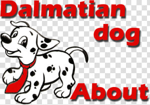 About Dalmatian Dog And Puppies   Dalmatian  HD Png Download