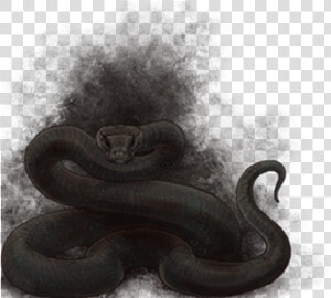 Serpent  HD Png Download