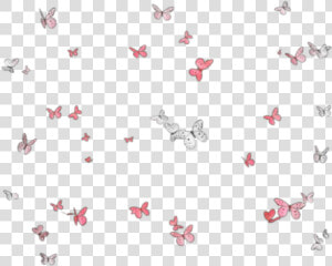  butterflies  mariposas  mariposa  butterfly  group   Love Unicorn  HD Png Download