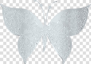 Silver Butterfly Clipart  amp  Silver Butterfly Clip Art   Silver Butterfly Vector Png  Transparent Png