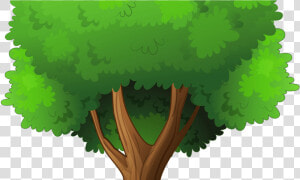 15 Tree Clipart Png For Free Download On Mbtskoudsalg   Tree Clipart Transparent Background  Png Download