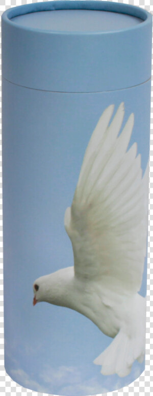 Ascending Dove  HD Png Download