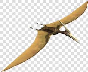 Venturian Battle Headquarters   Pterodactylus  HD Png Download