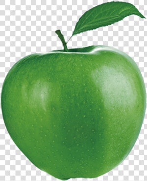 Granny Smith Apple Download  HD Png Download