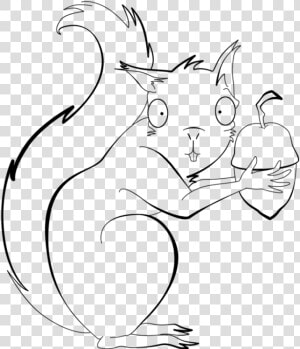 Drawn Line Art Red Squirrel   Squirrel Line Drawing  HD Png Download