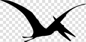 Pterodactyl Dinosaur Bird Shape   Pterodactyl Clipart Black And White  HD Png Download