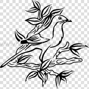 Transparent Mockingbird Png   Kill A Mockingbird Drawing  Png Download