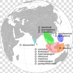 World Map India Globe   Png Download   Mount Everest On Globe  Transparent Png