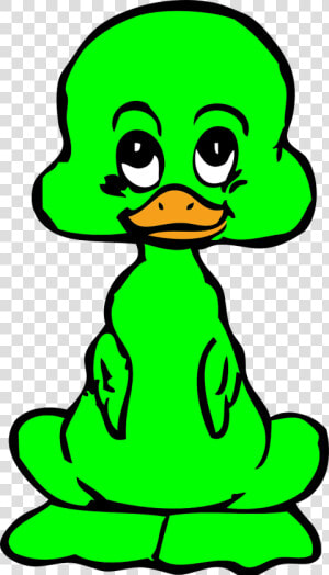 Duckling Png  Transparent Png