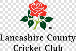 Lancashire County Cricket Club Logo  HD Png Download