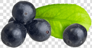 Acai Berry   Acai Com Folha Png  Transparent Png