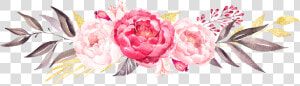 Peony Clipart Blush Peony   Watercolour Peonies Clip Art  HD Png Download