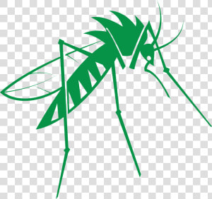 Mosquito Png Free Download   Mosquito  Transparent Png