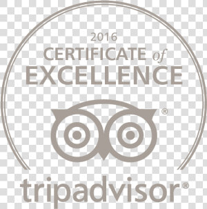 Trip Advisor Logo Certificate Of Excellence Png   2017 Certificate Of Excellence Tripadvisor Png White  Transparent Png