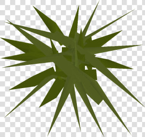 Runescape Weeds  HD Png Download