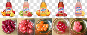 Jelly Belly Snapple Flavors  HD Png Download