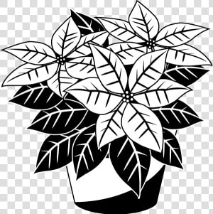 Clipart Smiley Face Thumbs Up   Poinsettia Clip Art Free Black And White  HD Png Download