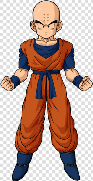 No Caption Provided   Krillin Dragon Ball Z Png  Transparent Png