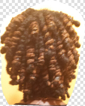 Womens Barrell Twists Dreadlocs Style  HD Png Download