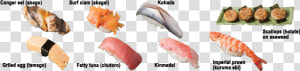 Kinds Of Sushi   Sashimi Sushi Fish Types  HD Png Download