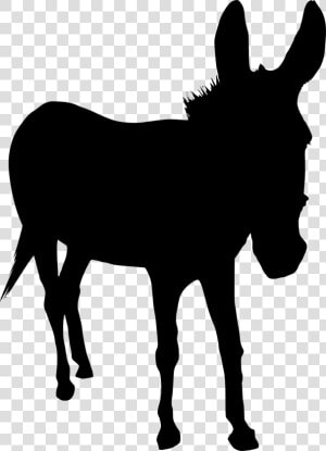 Donkey Silhouette Png   Silhouette Donkey Transparent Background  Png Download