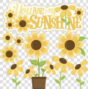 Svg Files Sunflower Cut   Clipart You Are My Sunshine  HD Png Download