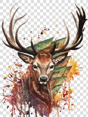 Download Watercolor Painting Vector Deer Drawing Download  HD Png Download