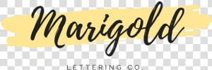 Marigold Lettering Co   Calligraphy  HD Png Download