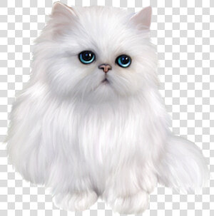 Svg Black And White Stock Transparent Kitten Persian    White Persian Cat Png  Png Download