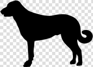 Anatolian Shepherd Dog Silhouette Png  Transparent Png