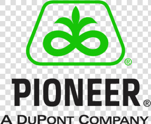 Dupont Pioneer Logo  Dupont Pioneer Logo Vector   Graphic Design  HD Png Download