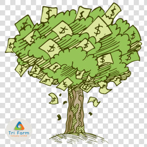 Money Tree Png   Cartoon Money Tree Drawing  Transparent Png