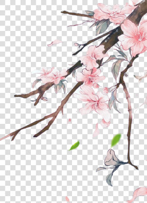  flowers  pink  pinkflowers  japanese  nature  ftestickers   Transparent Background Chinese Flowers Transparent  HD Png Download