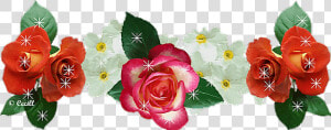  rose  flowers  snapchat  crown   Gif Блестящие Цветы Анимация  HD Png Download