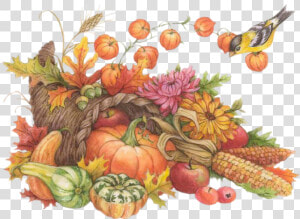 Cornucopia Clipart Service   Thanksgiving Watercolor Clip Art  HD Png Download