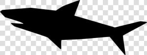 Snout shark silhouette  HD Png Download