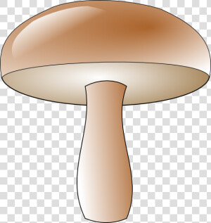 Champignon Clip Art At   Champignon Clipart  HD Png Download