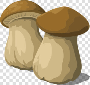 Funghi Png  Transparent Png