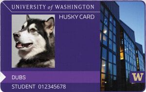 Washington Huskies Logo Png  Transparent Png