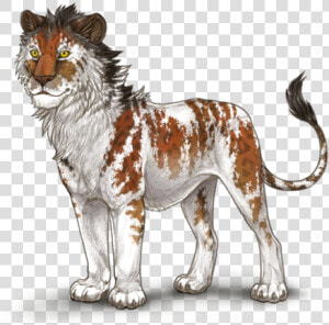 Masai Lion  HD Png Download