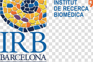 Irb   Irb Barcelona Logo  HD Png Download