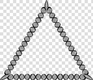 Line Art symmetry monochrome Photography   Dna Triangle  HD Png Download