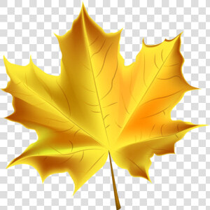 Banner Free Beautiful Yellow Autumn Transparent   Clip Art Transparent Fall Leaf  HD Png Download