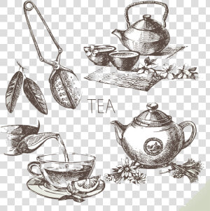 Teacup Drawing Sketch   Tea Sketch Vector  HD Png Download