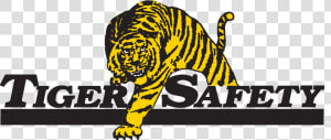 Tiger Safety   Tiger Offshore  HD Png Download