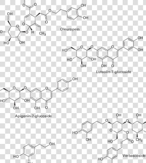 Plant Molecules  HD Png Download