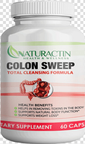 Colon Png  Transparent Png