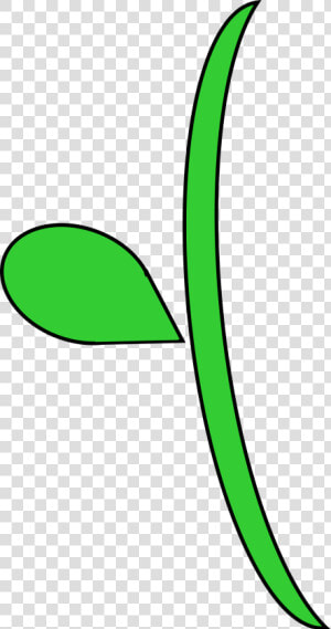 Curvy Flower Stem   Clip Art Flower Stems  HD Png Download